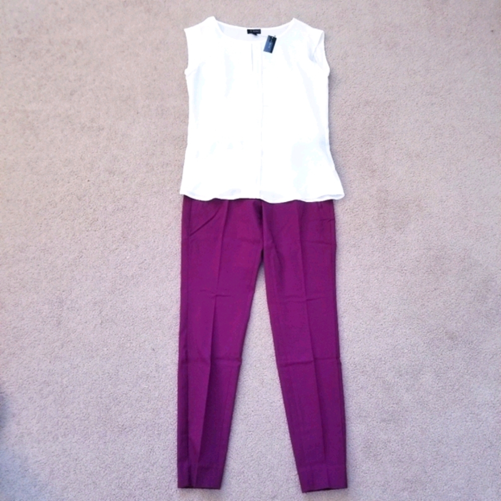 NEW The Limited exact stretch pants